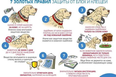 Взаимодействие капель от блох с другими средствами