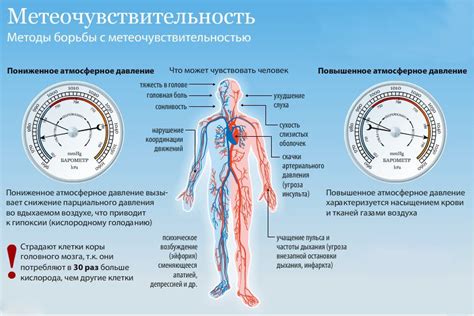 Взаимосвязь между мануальной терапией и артериальным давлением