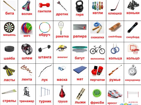 Виды спортивного инвентаря для городской езды