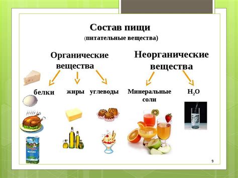 Витамины и питательные вещества в консервированных персиках