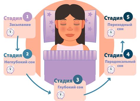 Влияние алкогольного опьянения на качество сна