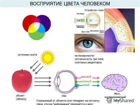 Влияние блонд на восприятие интеллекта