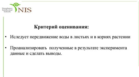 Влияние внешних факторов на трансформацию