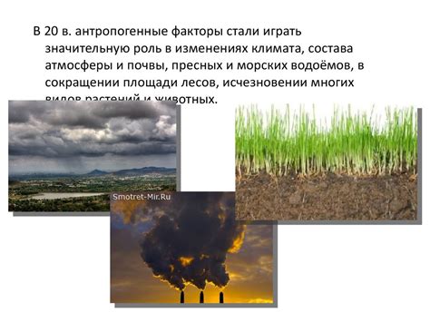 Влияние гуся на окружающую среду