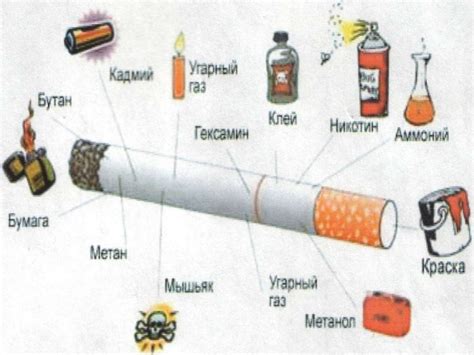 Влияние метаболической активности на время наличия никотина в организме