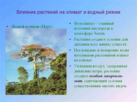 Влияние на природу и живые организмы