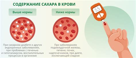Влияние на сахарный уровень крови