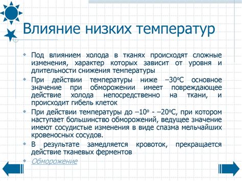 Влияние низких температур на жизнедеятельность рыбы