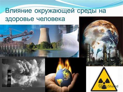 Влияние окружающей среды на разложение белка
