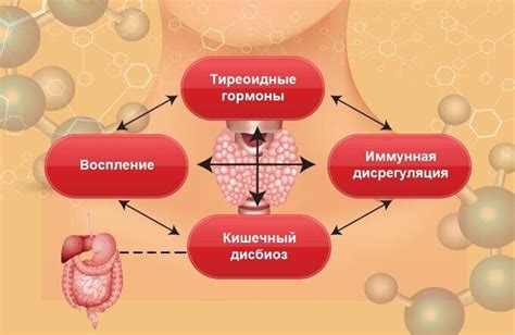 Влияние противозачаточных препаратов на функцию щитовидной железы