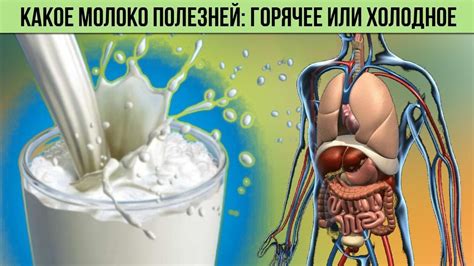 Влияние специфических ингредиентов на молоко