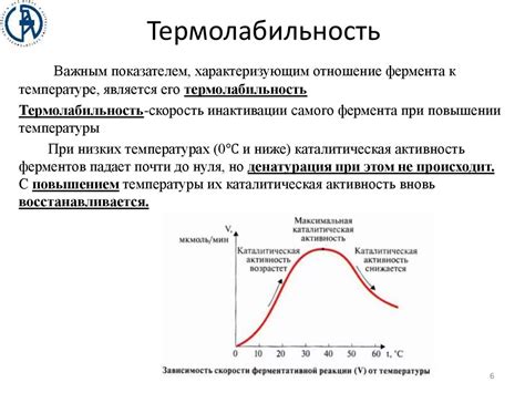 Влияние температуры на процесс дозревания