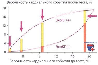 Влияние употребления кофе на качество и точность результатов эхокардиографии