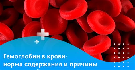 Влияние халвы на повышение уровня гемоглобина в крови