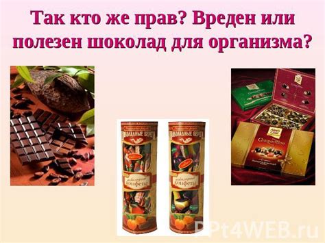Влияние шоколада на энергетику организма