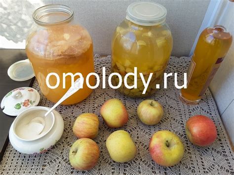 Влияние яблочного уксуса на иммунную систему