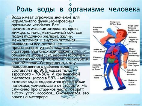 Вода: роль в организме
