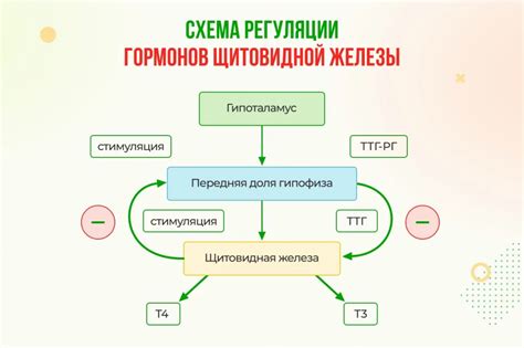 Воздействие на гормоны