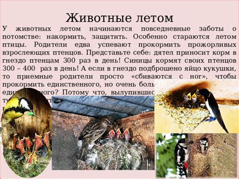 Воздействие топтания на птенцов и молодняк