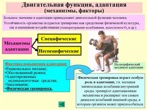 Воздействие энергетиков на нервную систему