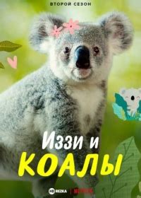 Возможные исходы отношений Кейси и Иззи