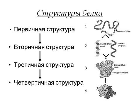 Возможные последствия разрушения структуры белка