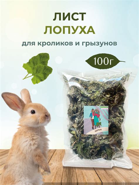 Возможные преимущества горчичных листьев для кроликов