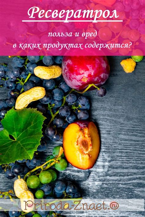 Вред от употребления веток елки кроликами