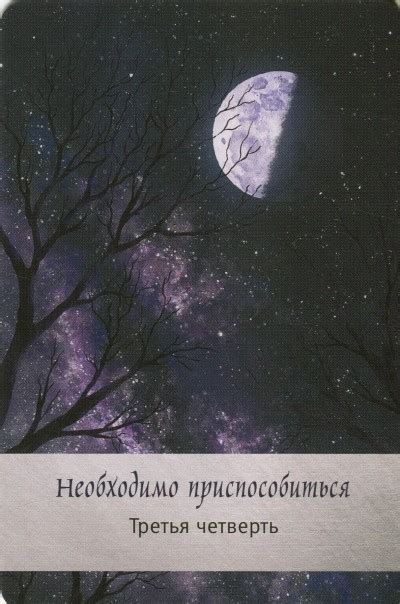 Встреча с дикой природой в свете луны