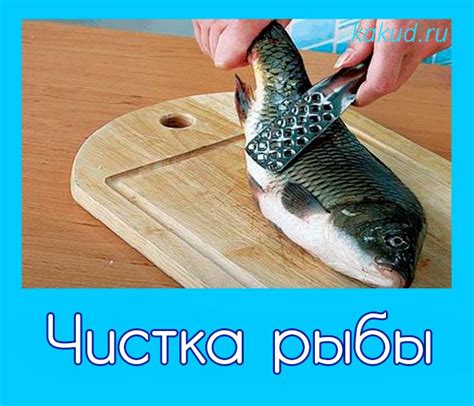 Выбор и чистка рыбы