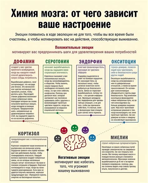 Выработка мудрости