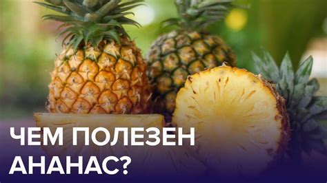 Выясним, когда лучше есть ананасы для эндометрия