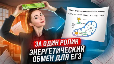 Выясняем влияние интеллектуальных нагрузок на энергетический обмен