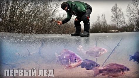 Где прячется рыба в холодное время года: возможные убежища