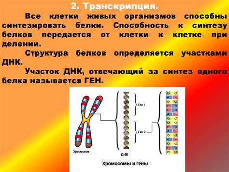 Генетический материал и его роль в создании гей-семьи