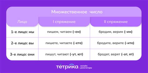 Глаголы с основой на -т и -ть