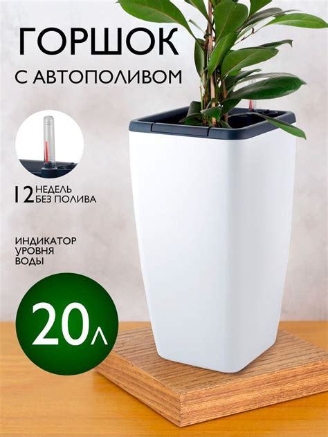 Горшок с автополивом для фикуса: оценка эффективности