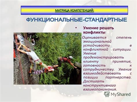 Готовность к компромиссам и умение решать конфликты