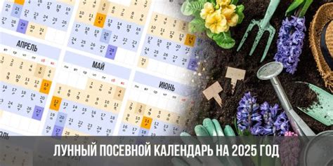 График посева фацелии в осенний период
