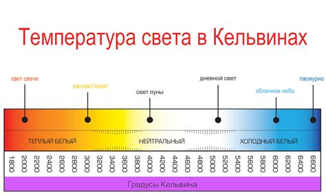Дневной свет и ассимиляция
