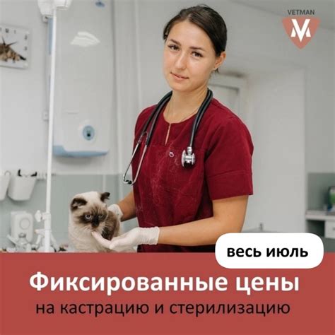 Доверьте кастрацию опытным ветеринарам!