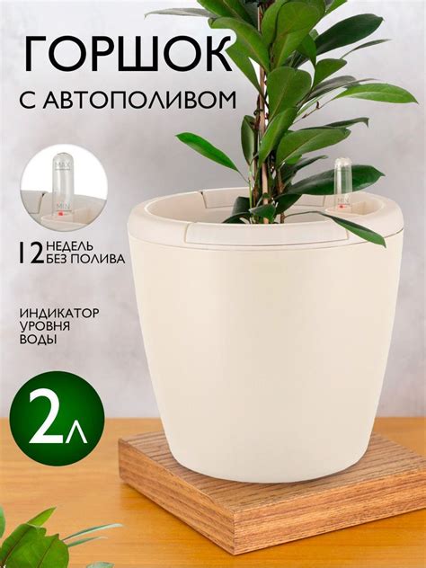 Достоинства использования горшка с автополивом
