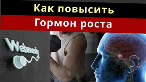 Доступность гормона роста