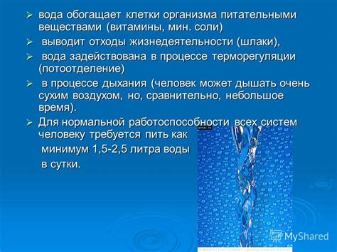 Желатин обогащает блюдо питательными веществами