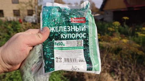 Железный купорос: особенности и эффективность