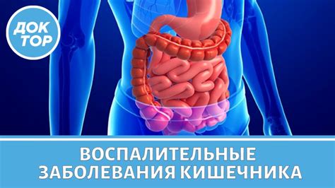 Заболевания кишечника и желудка