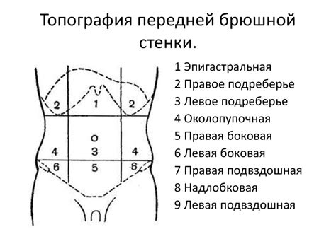 Заболевания органов живота и инфекции