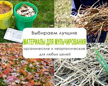 Защита почвы от холодов: зимнее мульчирование опилками