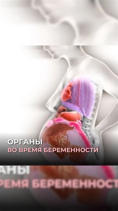 За родами - время реконвалесценции