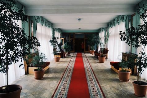 Здравницы и курортомедицина